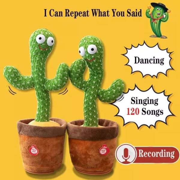 Dancing Cactus